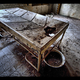 Illustration for article titled Haunting Images Of The Abandoned Hospital Where Hitler Once Convalesced